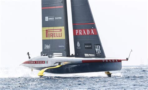 chihuahua nelle louis vuitton|Louis Vuitton Cup, Luna Rossa trionfa su Orient Express e va in .